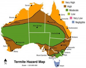 termite-hazard-map